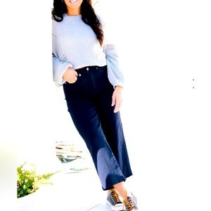 Judy Blue Tummy Control Cropped Wide Leg Jeans! Size 9! NWT! Navy!